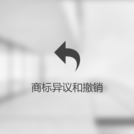 异议和撤销